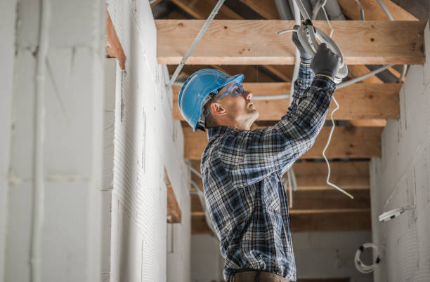Best Electric Panel Repair  in Milton, DE
